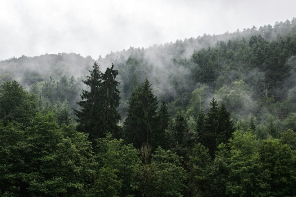 Top Vakantiehuizen in de Ardennen voor Grote Groepen